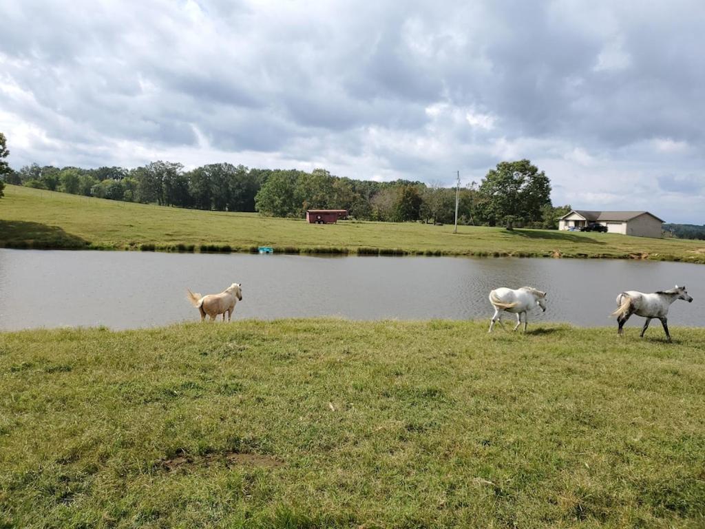Secluded House On 60 Acres Close To Fall Creek Falls Pikeville Екстер'єр фото
